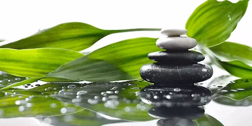 The Medicine of Flow: Conversation and Experiential Workshop on Effortless Healing