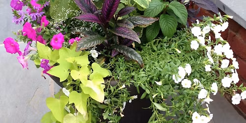 Mixed Container Workshop at Mount Vernon