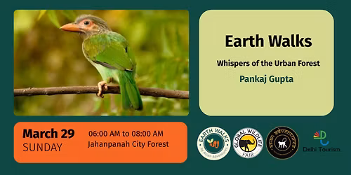 Whispers of the Urban Forest