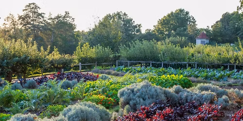 Spring Plant and Garden Sale at Mount Vernon