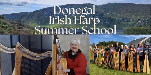 Donegal Adult Harp Summer School