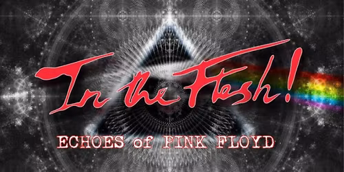 IN THE FLESH - echoes of Pink Floyd 