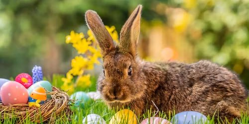 Easter Egg Hunt + Concert + Cash Prize 🐇🌸 (Williamston SC)