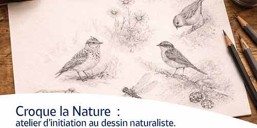 \u202fCroque la Nature : Atelier d\u2019initiation au dessin naturaliste 