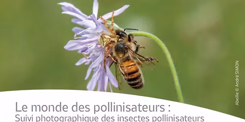 \u202fLe monde des pollinisateurs : enqu\u00eate SPIPOLL 
