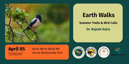 Summer Trails & Bird Calls