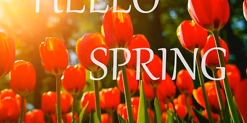 SOUND BATH + GUIDED MEDITATION