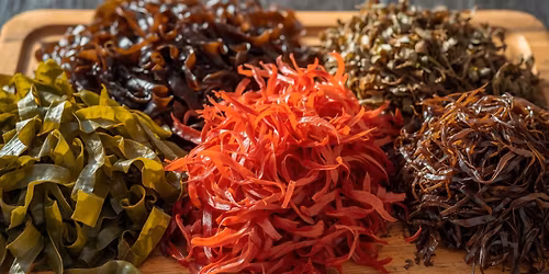 Seaweed Foraging in beautiful county Sligo