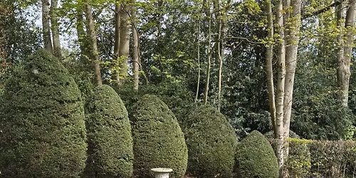 Burgh House Charity Open Garden 26th April 2026