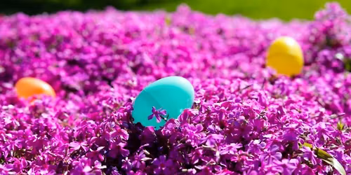 Free Easter Egg Hunt (11 Am) and Activities (10-11 AM)