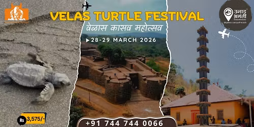 Velas Turtle Festivel with \u0909\u0928\u093e\u0921 \u092d\u094d\u0930\u092e\u0902\u0924\u0940 (\u0935\u0947\u0933\u093e\u0938 \u0915\u093e\u0938\u0935 \u092e\u0939\u094b\u0924\u094d\u0938\u0935 - \u0968\u0966\u0968\u096c)