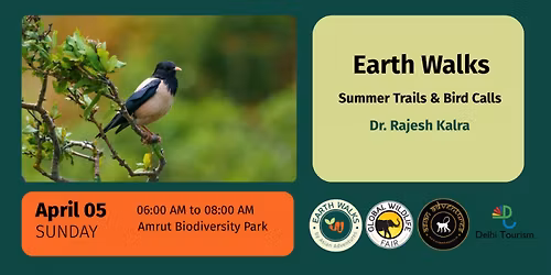 Summer Trails & Bird Calls