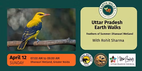 Feathers of Summer: Dhanauri Wetland