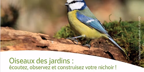 Oiseaux des jardins : \u00e9coutez, observez et construisez votre nichoir ! 