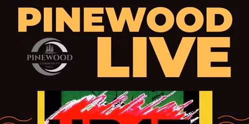 UB4t at Pinewood Live