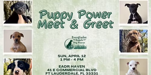 Puppy Meet & Greet Adoption Event