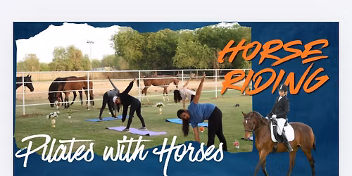Pilates Horses Experience