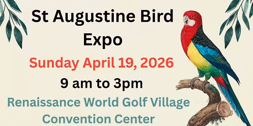 St Augustine Bird Expo