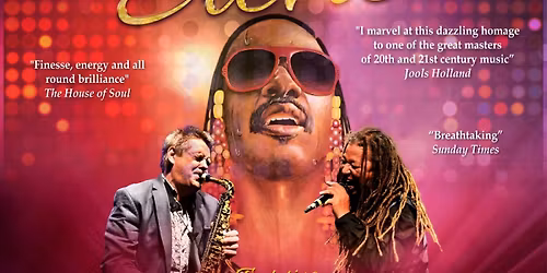 The Wonder of Stevie