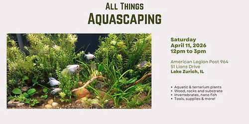 All Things Aquascaping