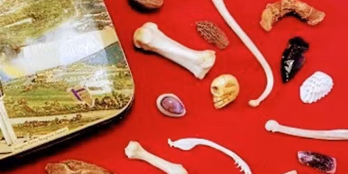 Maha at CasaShanti on Trade Street