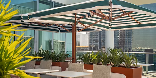 Earth Day Terrarium Workshop at Vista Rooftop