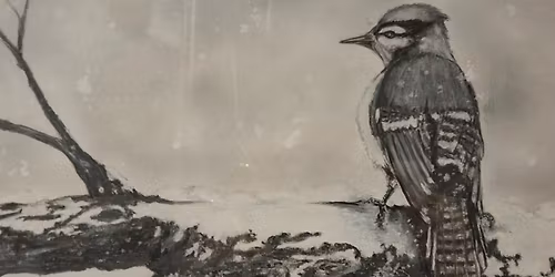 'TRANQUIL MOMENTS' - August 1st 2026 Art Show - Artist Cheryl Jones