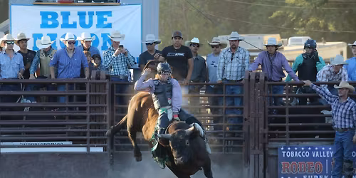 The Brash Rodeo
