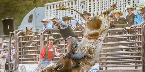 The Brash Rodeo