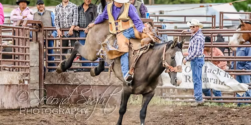 The Brash Rodeo