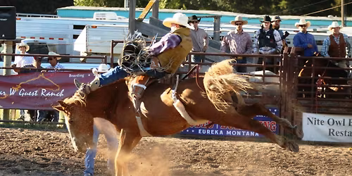 The Brash Rodeo