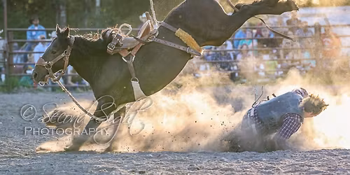 The Brash Rodeo