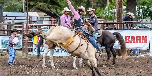 The Brash Rodeo