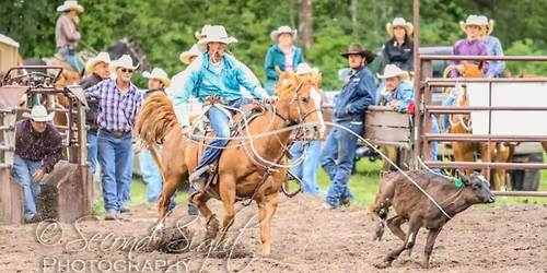 The Brash Rodeo