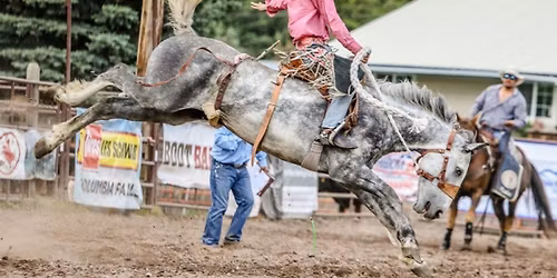 The Brash Rodeo