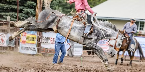 The Brash Rodeo