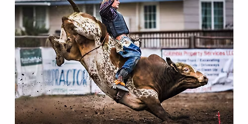 The Brash Rodeo