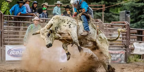 The Brash Rodeo