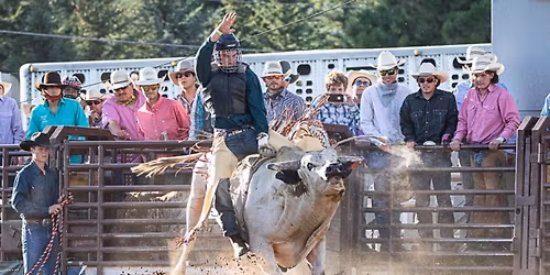 The Brash Rodeo