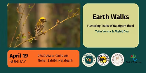 Fluttering Trails of Najafgarh Jheel