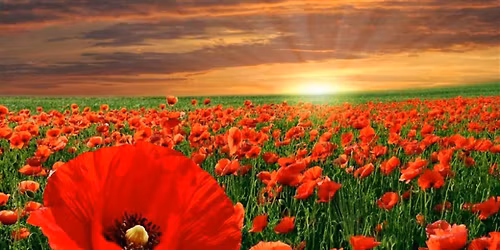 ANZAC Day at ANZAC Cottage 2026