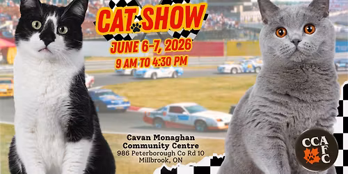 Motor City Cat Show - 2026