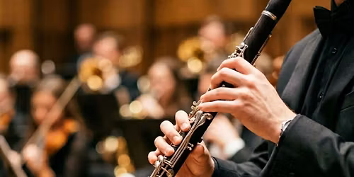 The Rochester Symphony Orchestra Presents "Reassurance and Peace"