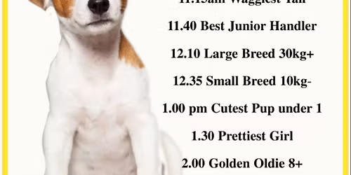 FUN DOG SHOW