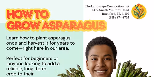 Masterclass: How to Grow Asparagus