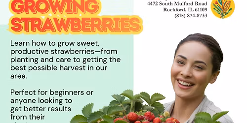 Masterclass: Growing Strawberries