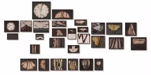 Emami Art Unveils Exciting Exhibitions on March 20 | Nothing Twice & Chance Remains of Another Time