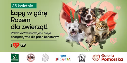 Czworonogi w roli g\u0142\u00f3wnej \u2013 rasowe koty, psi bohaterowie i inne atrakcje w Galerii Pomorskiej