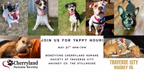 Yappy Hour Benefiting Cherryland Humane Society 