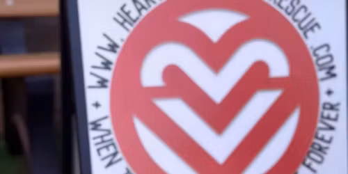 Dog Adoption and Fundraiser at U.S. Egg